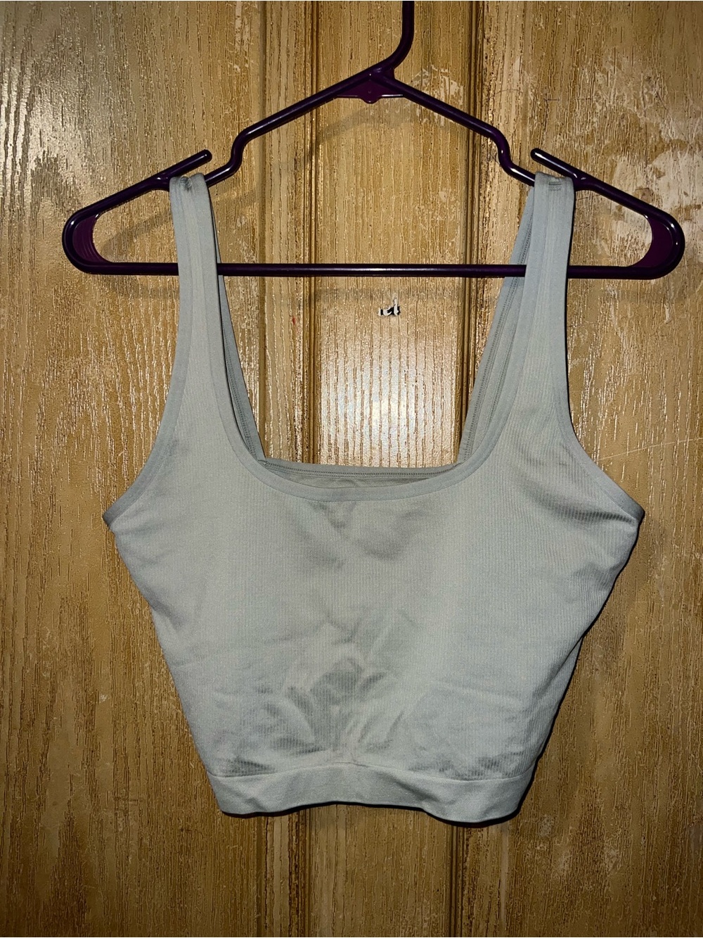Women’s Aerie Scoop Neck Ribbed Tank Bralette light green. Size XXL